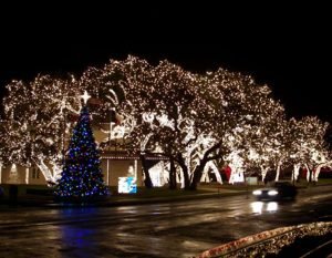 ağaç ışık süslemesi