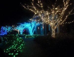 ağaç ışık süslemesi