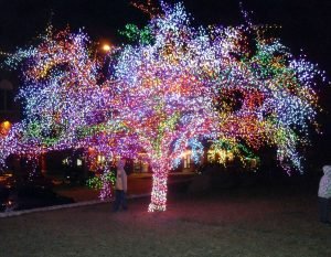 ağaç ışık süslemesi