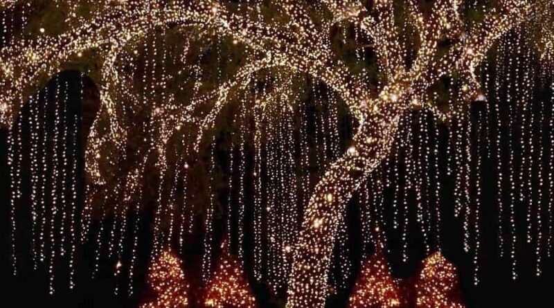 ağaç ışık süslemesi