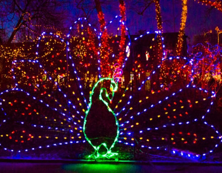 Bahçe Işık Süsleme