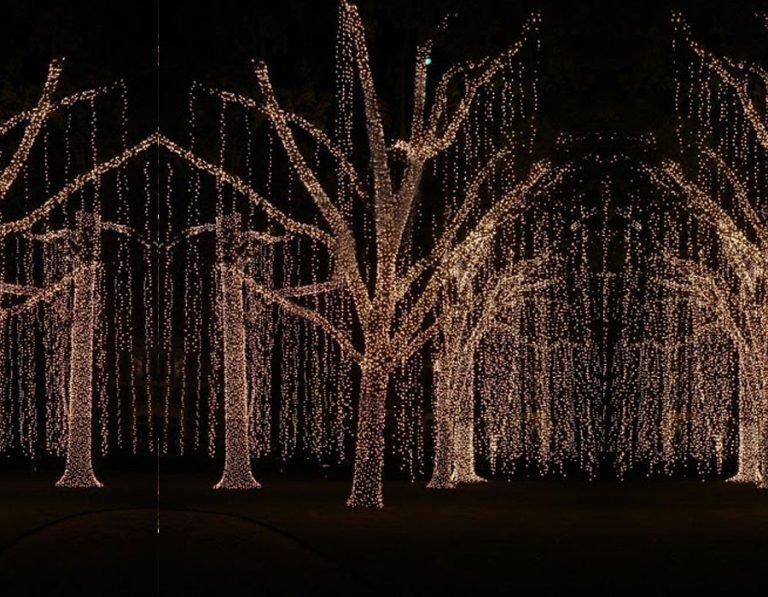 Bahçe Işık Süsleme